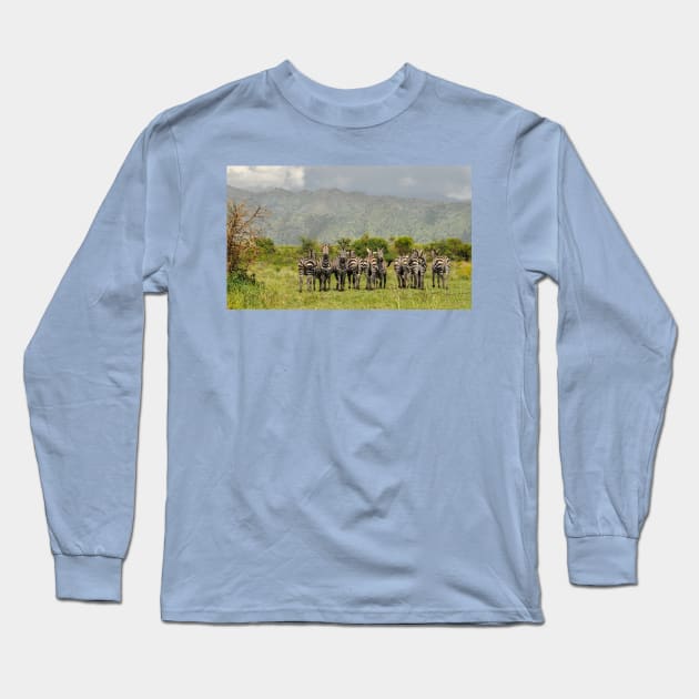 The zebras-amazing picture Long Sleeve T-Shirt by NP-Pedia